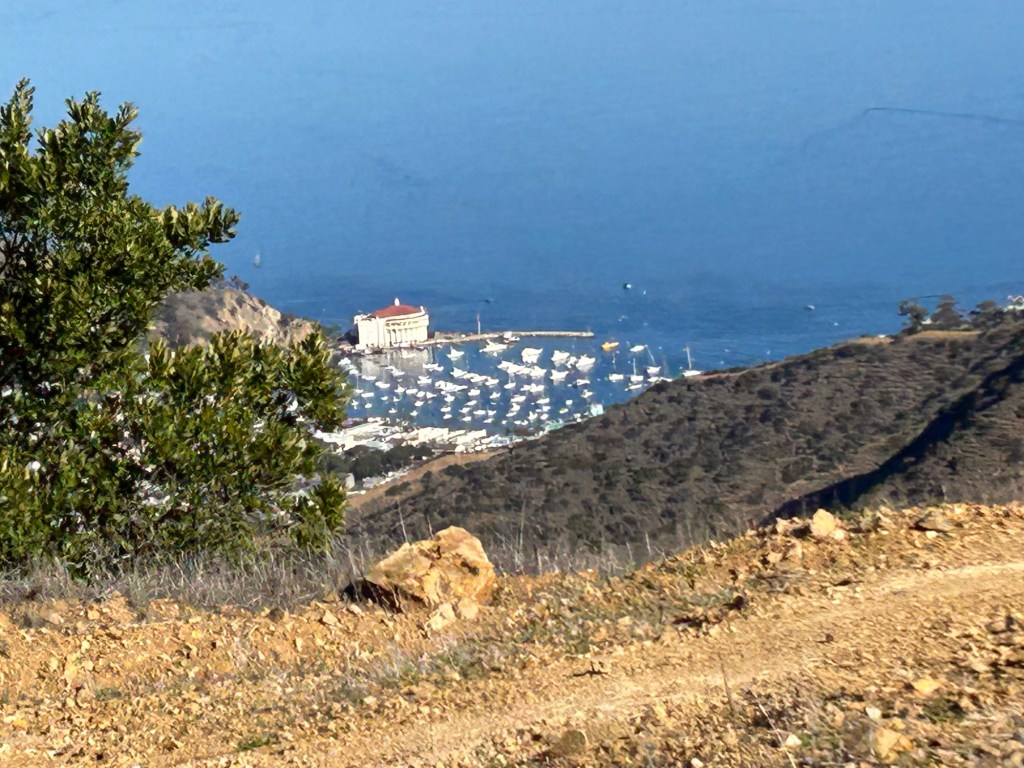 Using Marijuana Before Working Out Can Enhance Enjoyment And ‘Runner’s High,’ But Also Cause More Exertion, Study&nbsp;Finds