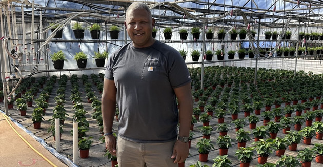 ‘It doesn’t smell right’: Alabama’s medical marijuana debacle&nbsp;continues