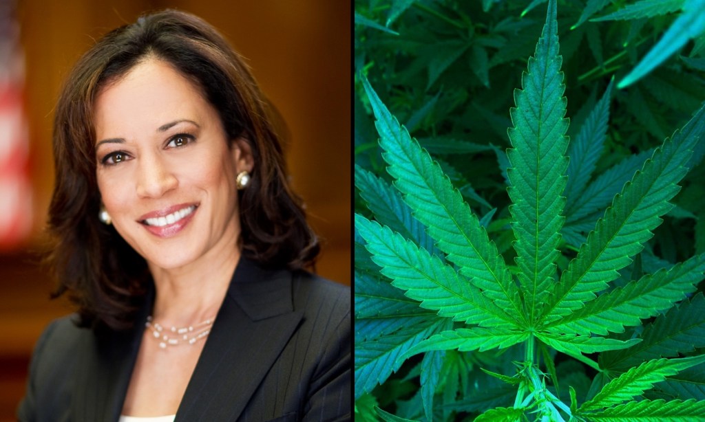 VP Kamala Harris’s Office Is Reaching Out To Marijuana Pardon Recipients, Activist Says After Talking Legalization And Next Steps With&nbsp;Staff