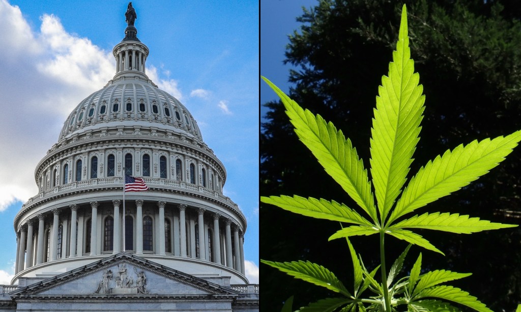 Schumer Touts ‘Very Productive’ Marijuana Banking Talks With House, And Top Sponsor Says Bill Has ‘Momentum’ To Pass ‘This&nbsp;Year’