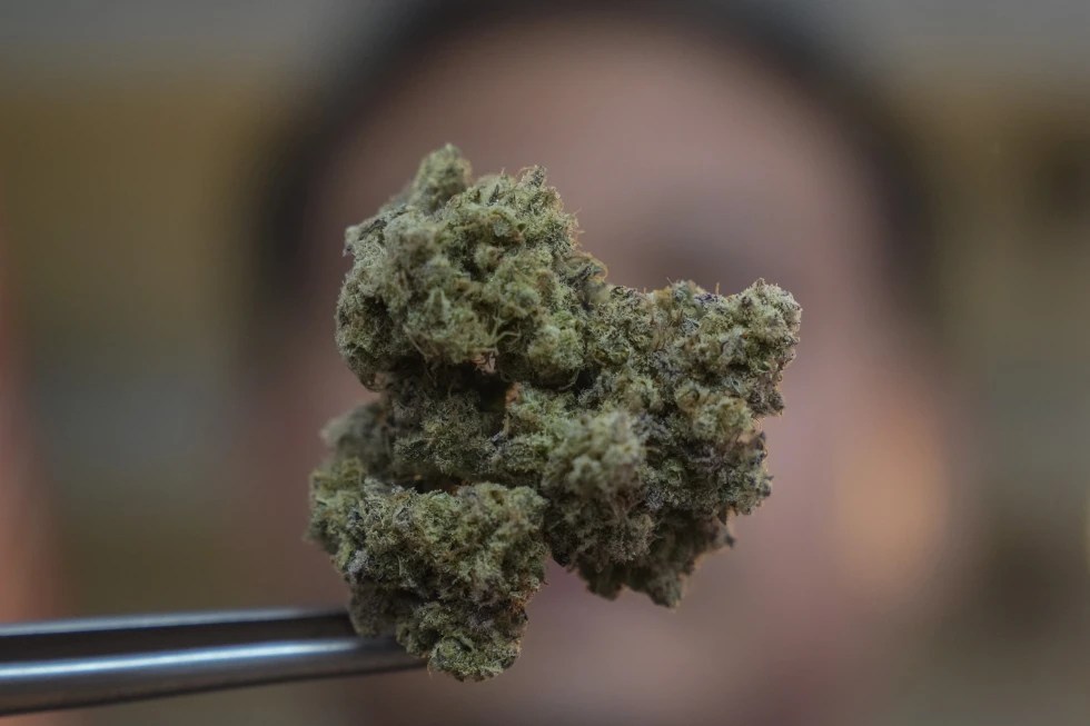 Thailand’s prime minister wants to outlaw cannabis, 2 years after it was&nbsp;decriminalized