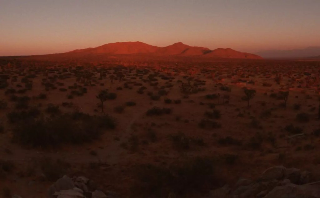 Outlaw cannabis grow sites are raided near California state&nbsp;parks