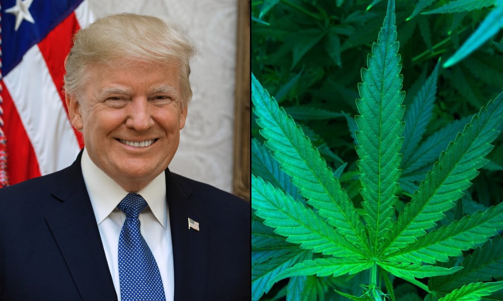 Trump’s Pick For Attorney General Has Vowed To ‘Go Easy On Marijuana’ If He Gets The&nbsp;Job