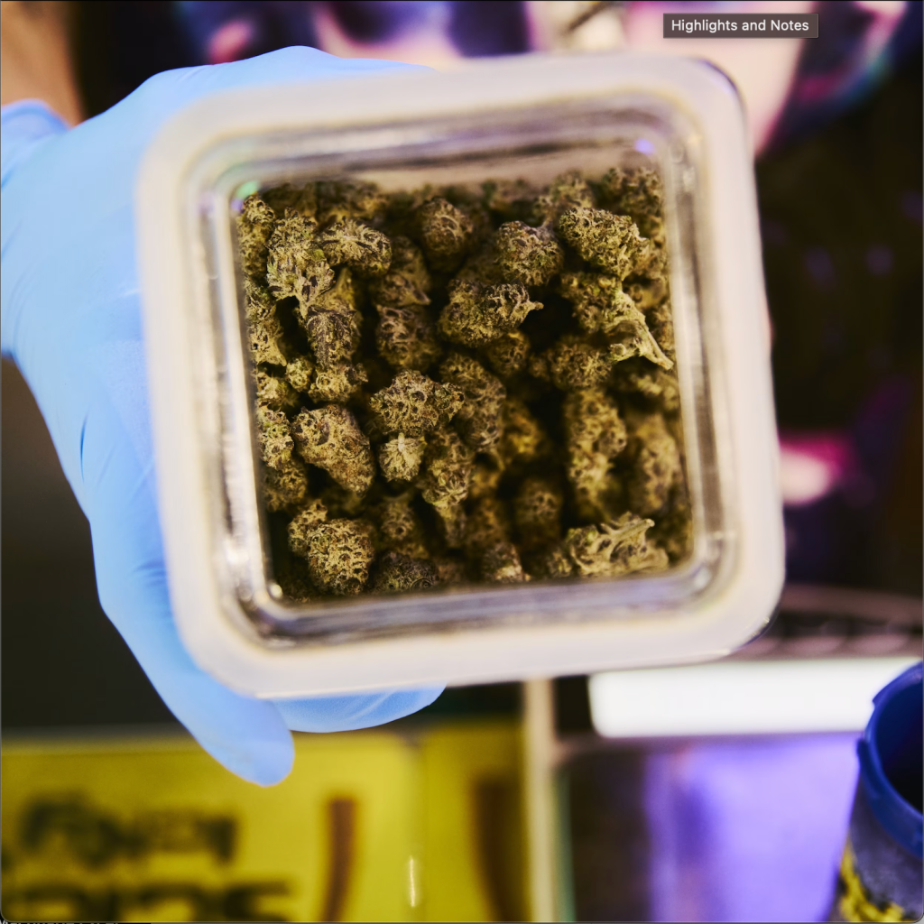 The Rise and Fall of the ‘Napa Valley of&nbsp;Cannabis’