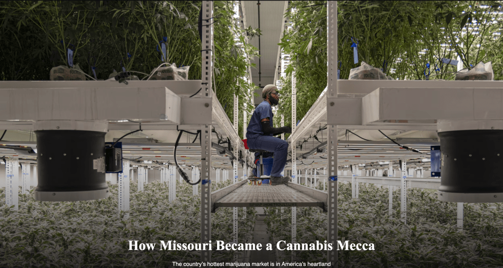 How Missouri Became a Cannabis&nbsp;Mecca